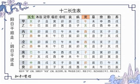 八字長生意思|十二長生:描述,八字解讀,